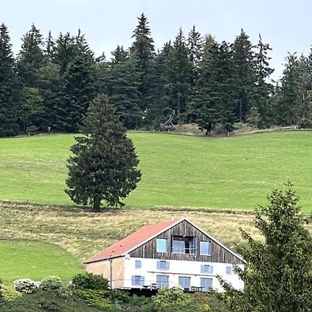 בסה-סור-לה-רופט Maison D'Hotes Des Hauts De La Piquante Pierre מראה חיצוני תמונה