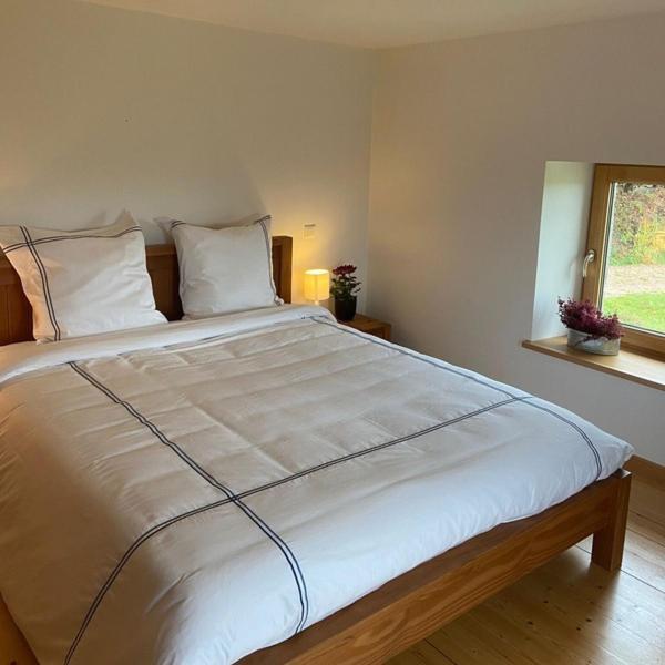 בסה-סור-לה-רופט Maison D'Hotes Des Hauts De La Piquante Pierre מראה חיצוני תמונה